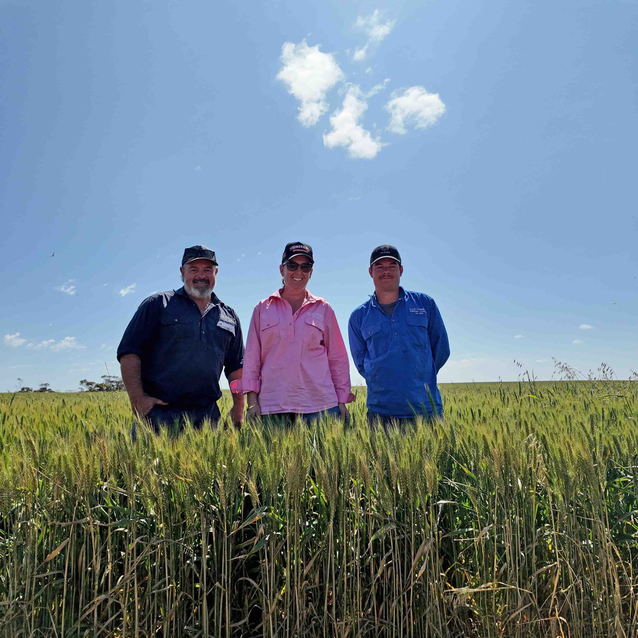 Toby Ellis family with wheat crop seeded with Morris